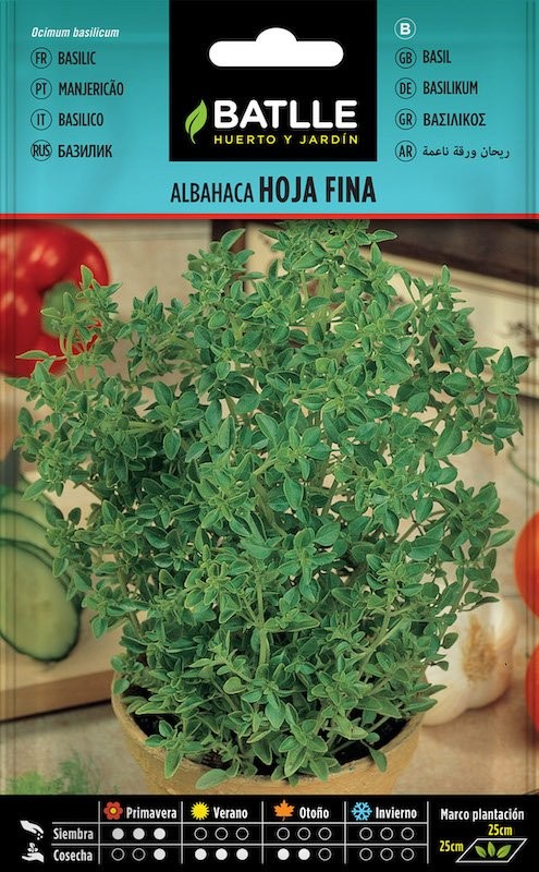 SOBRE BTLL ALBAHACA HOJA FINA