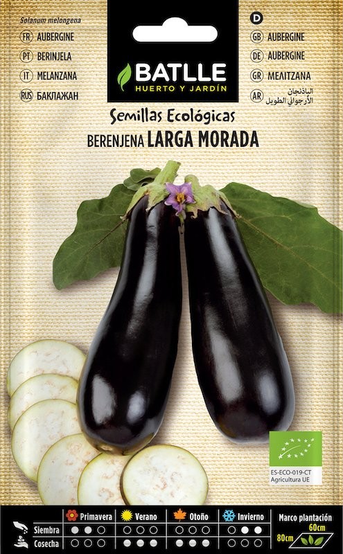 SOBRE BTLL BERENJENA LARGA MORADA - ECO