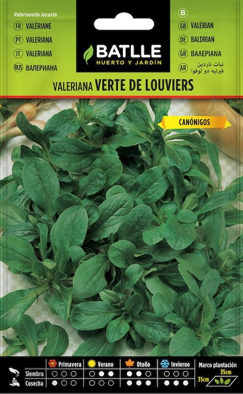 SOBRE BTLL VALERIANA (VERTE D LOUVIERS)