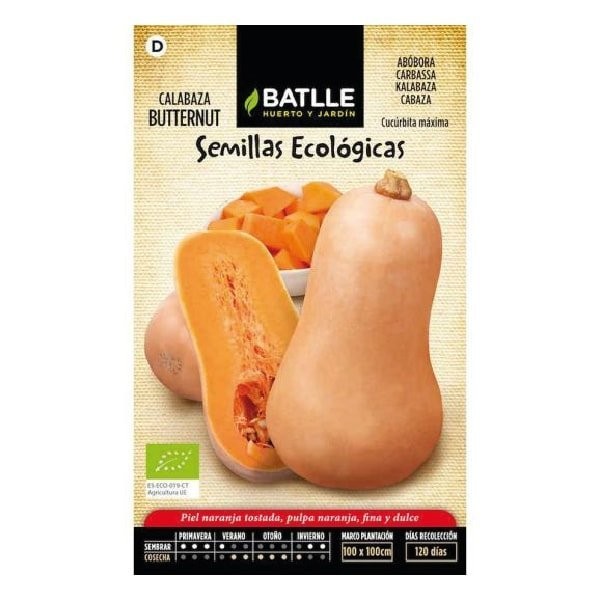 SOBRE BTLL CALABAZA BUTTERNUT - ECO