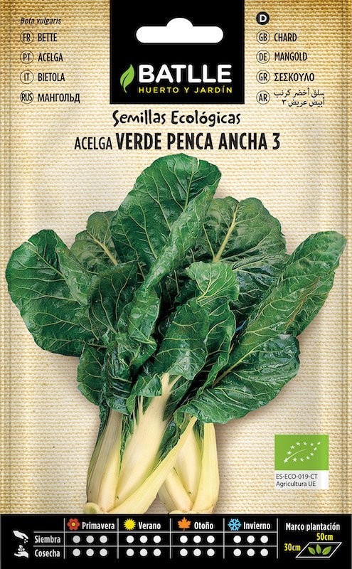 SOBRE BTLL ACELGA VERDE PENCA ANCHA 3 - ECO