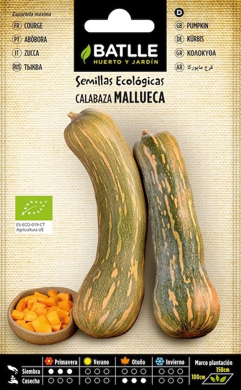 SOBRE BTLL CALABAZA MALLUECA - ECO