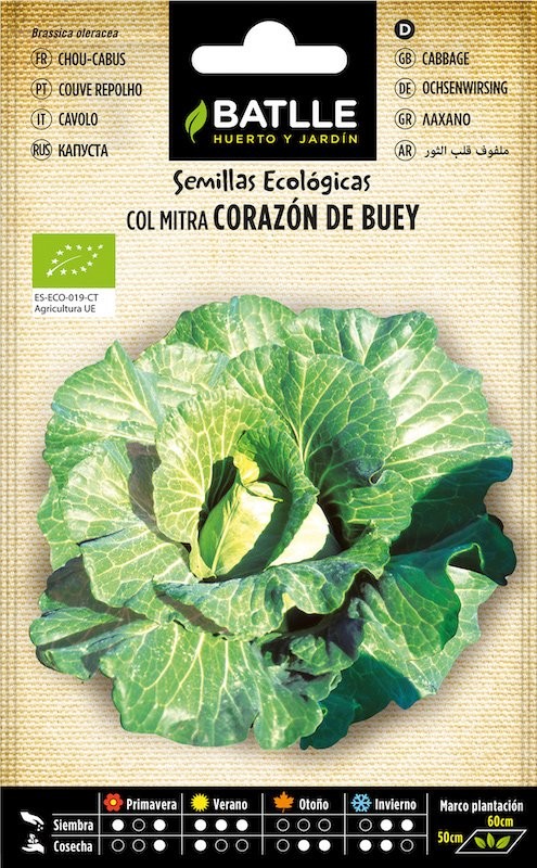 SOBRE BTLL COL CORAZON DE BUEY - ECO